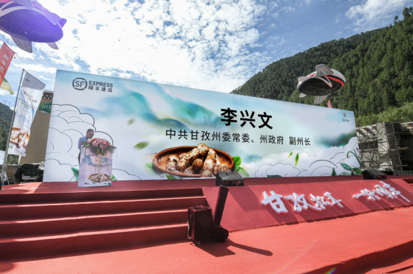 大疆无人机助力松茸出山  携手甘孜政府助推松茸产业升级