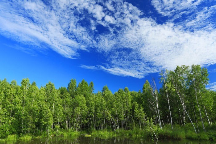 山西leyu.乐鱼智能科技有限公司--无人机森林防火解决方案